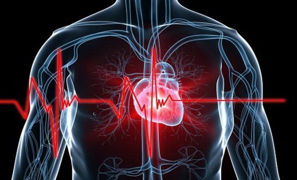 کلینیک قلب نیاوران